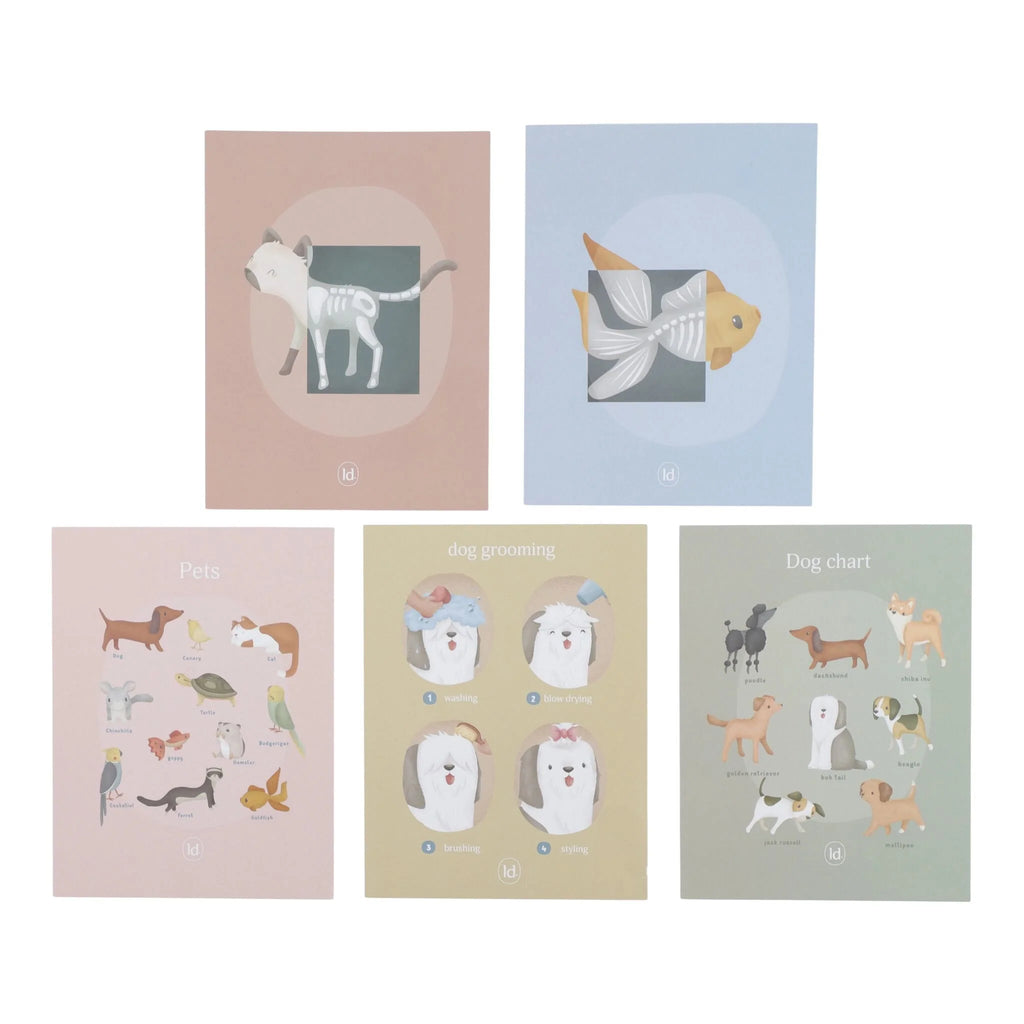 Little Dutch - Banco Da Veterinario