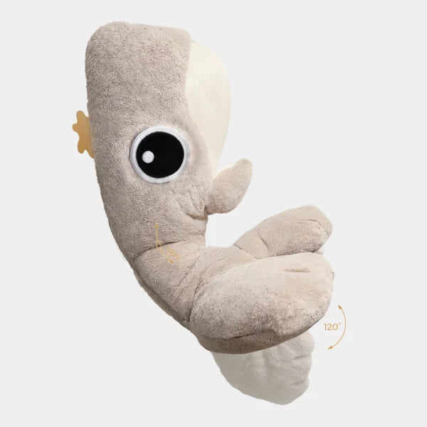 Top Bright-BALENA SLEEPWELL –