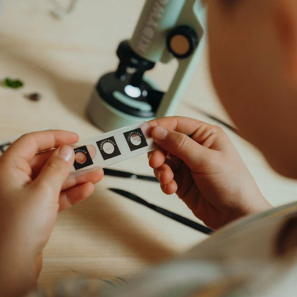 KidyWolf - Microscopio - Verde