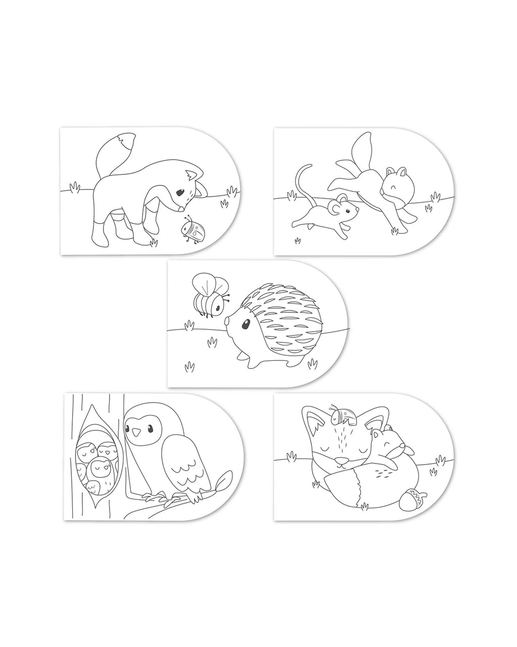 Little Dutch -Album da colorare Amici della foresta