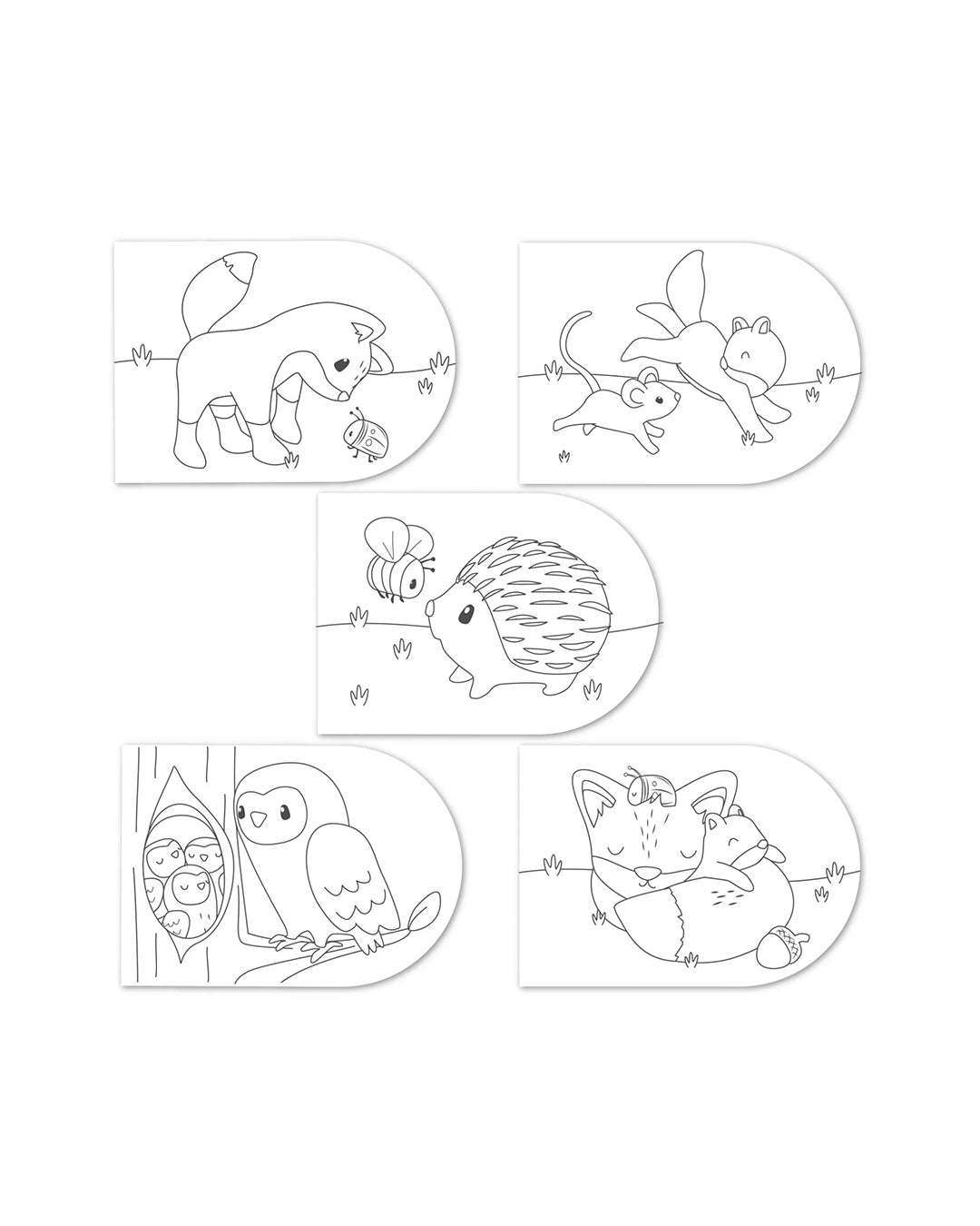 Little Dutch -Album da colorare Amici della foresta