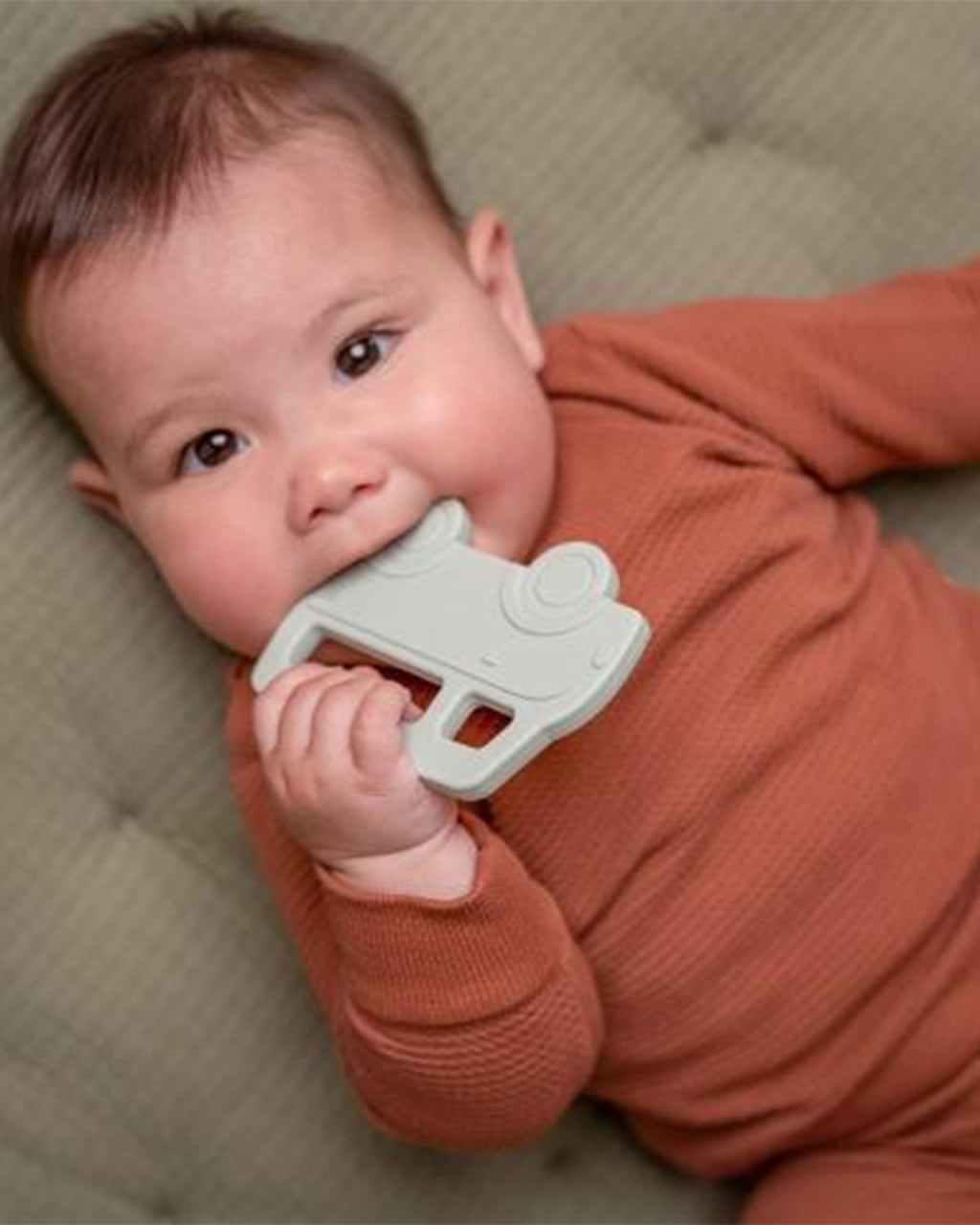 Little Dutch - Massaggia Gengive car - Multicolore - Essentials