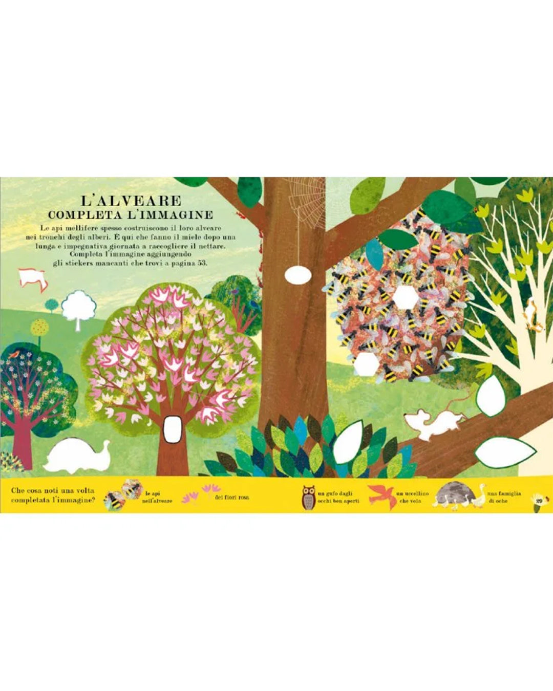 Sassi Yunior Editore - Ape - LIBRO delle attività