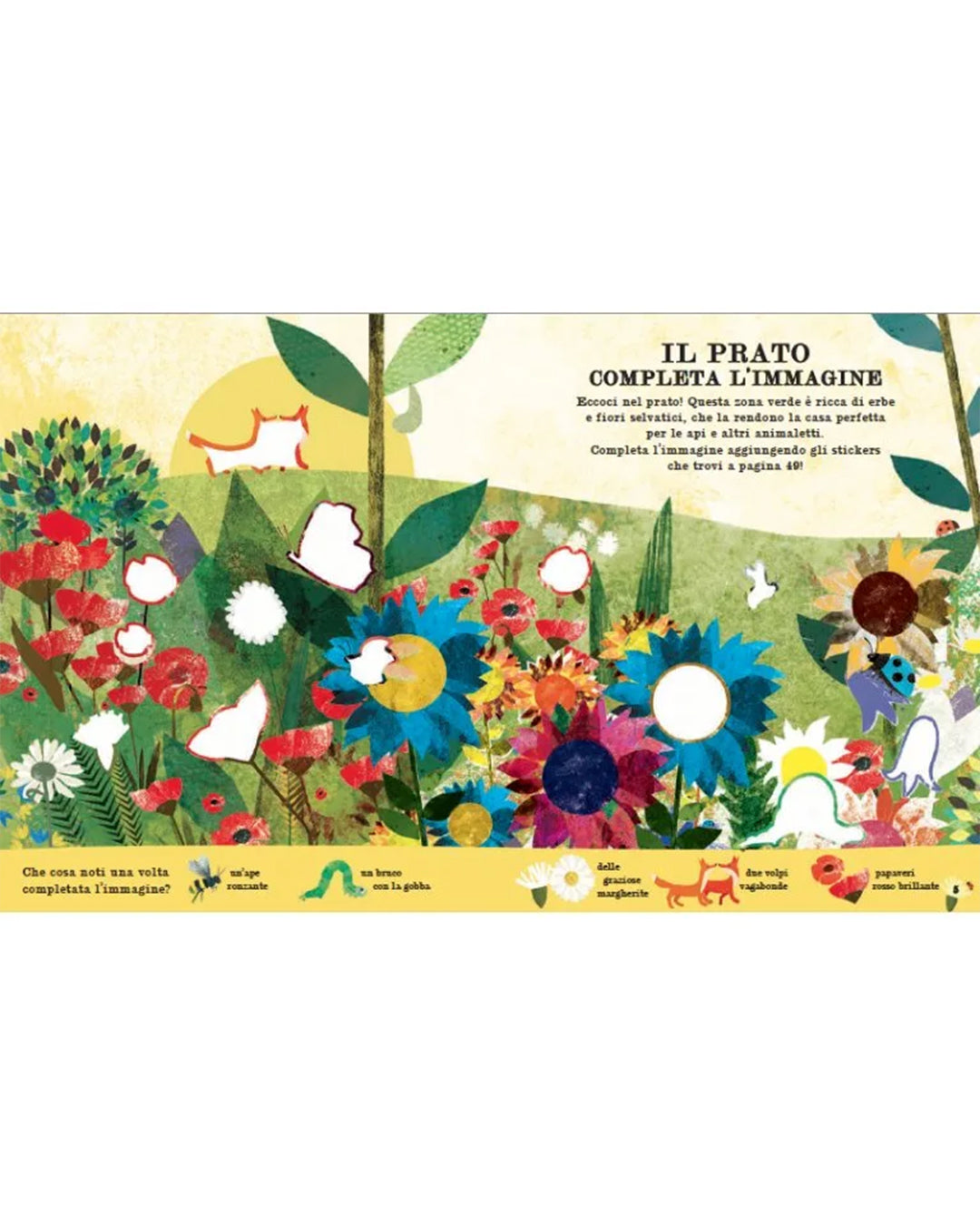 Sassi Yunior Editore - Ape - LIBRO delle attività