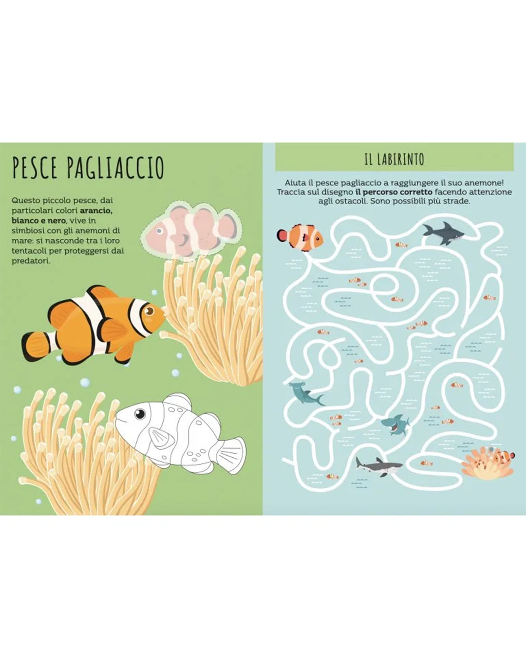 Sassi Yunior Editore - Attenti allo squalo! - Gioco società e libro attività