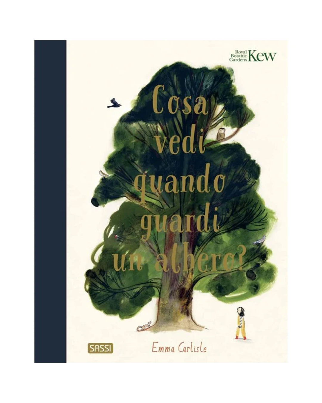 Sassi Yunior Editore - Cosa vedi quando guardi un albero? - LIBRO