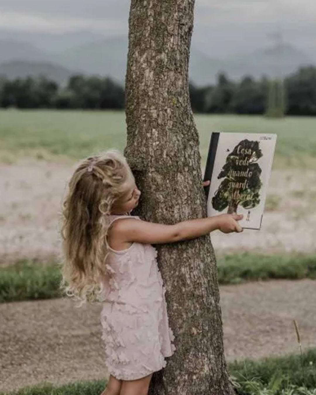Sassi Yunior Editore - Cosa vedi quando guardi un albero? - LIBRO