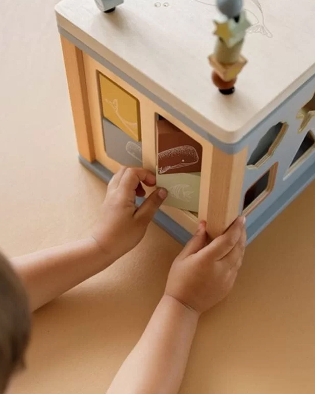 Little Dutch - Cubo Multiattività Oceano