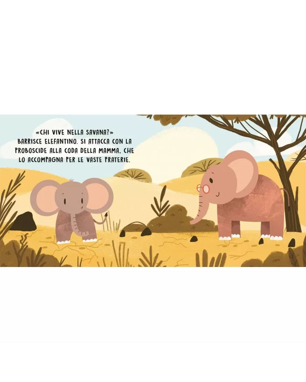 Sassi Editore - Dolci storie sonore - La Savana