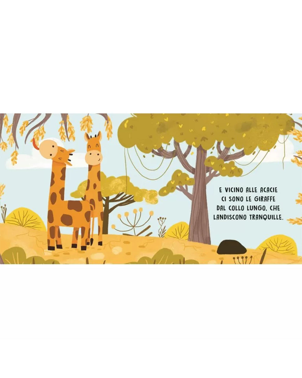 Sassi Editore - Dolci storie sonore - La Savana