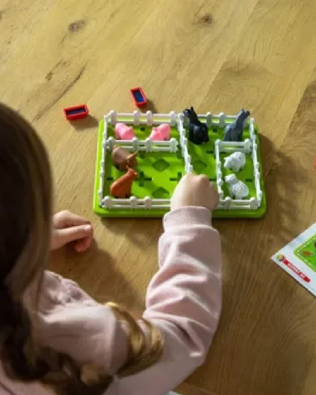 Smart games - Gioco Logico Smart Farmer