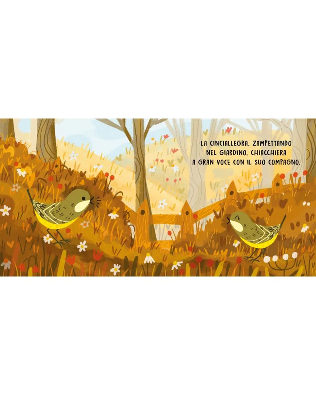 Sassi Editore - Gli uccelli - Libro sonoro