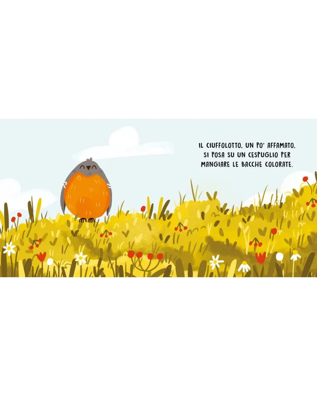 Sassi Editore - Gli uccelli - Libro sonoro