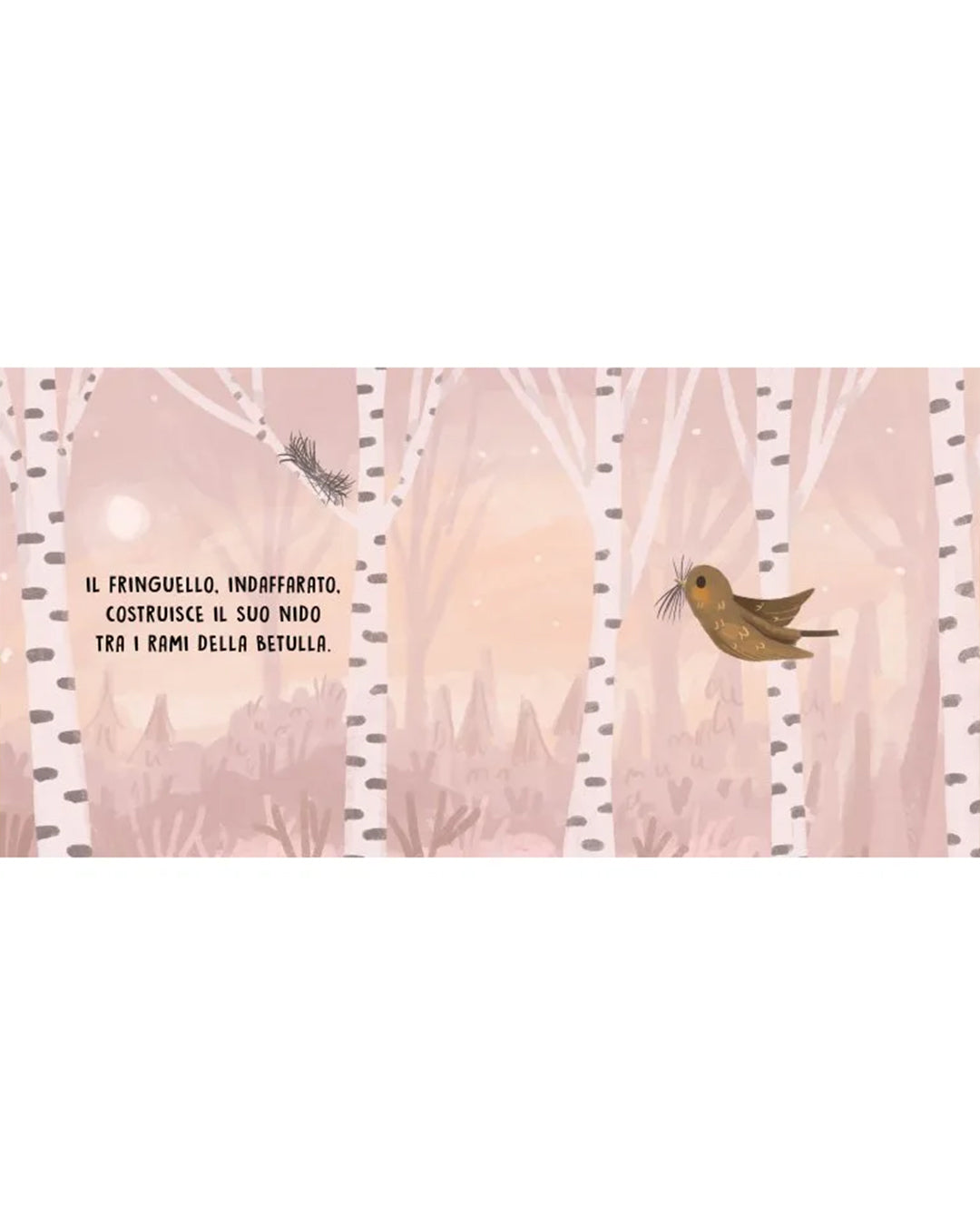 Sassi Editore - Gli uccelli - Libro sonoro