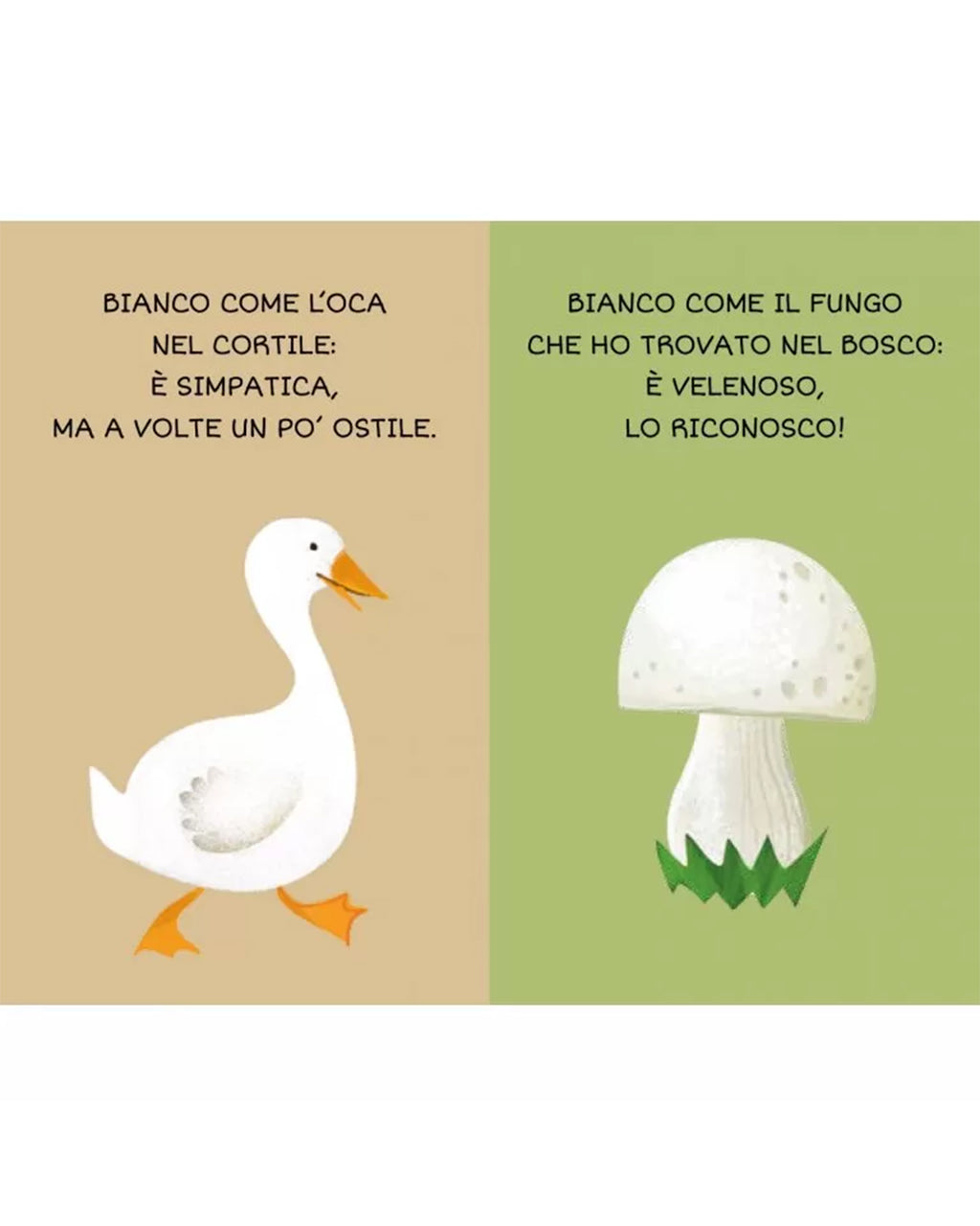 Sassi Editore - I Colori - La Mia Prima Biblioteca