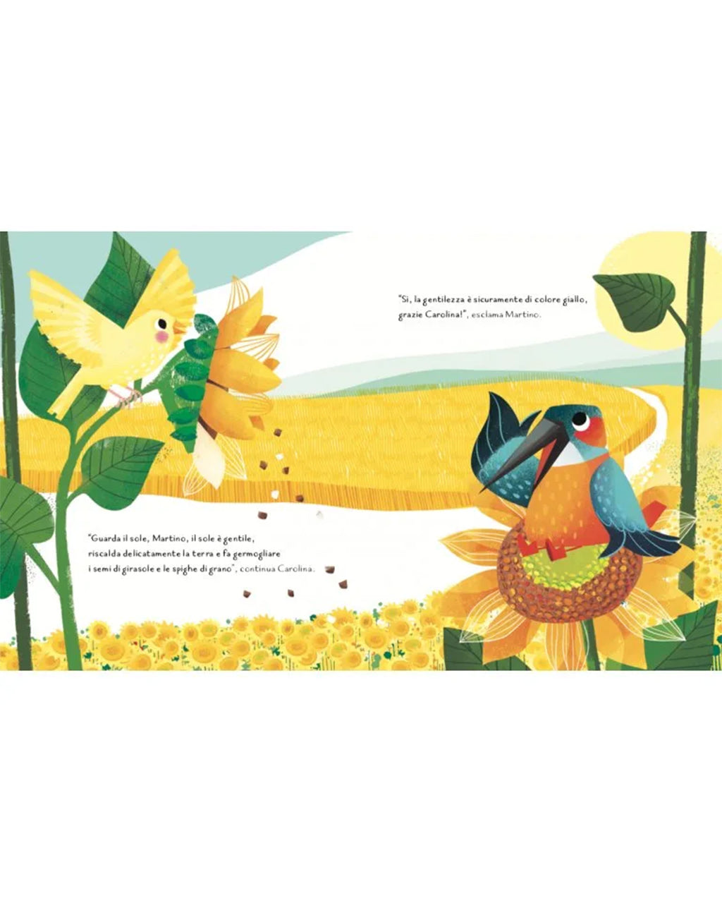 Sassi Yunior Editore - I colori della gentilezza - LIBRO