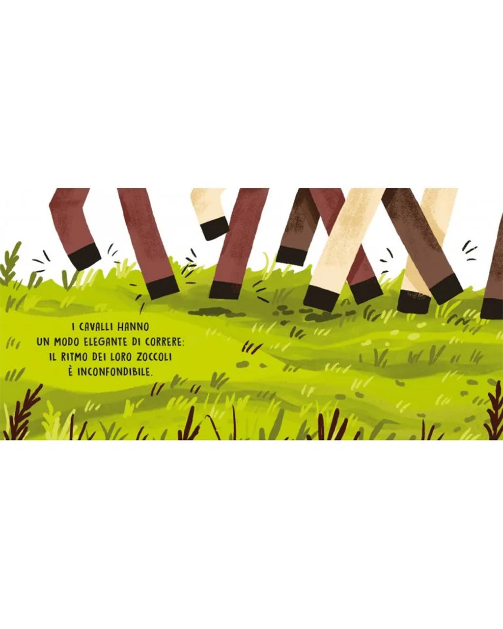 Sassi Editore - Il maneggio – Libro sonoro