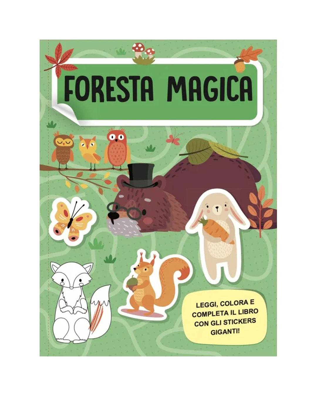 Sassi Yunior Editore - La foresta magica - Mega box arts & crafts