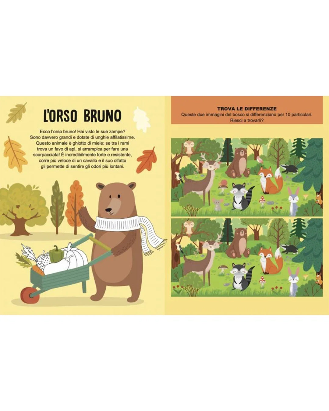 Sassi Yunior Editore - La foresta magica - Mega box arts & crafts