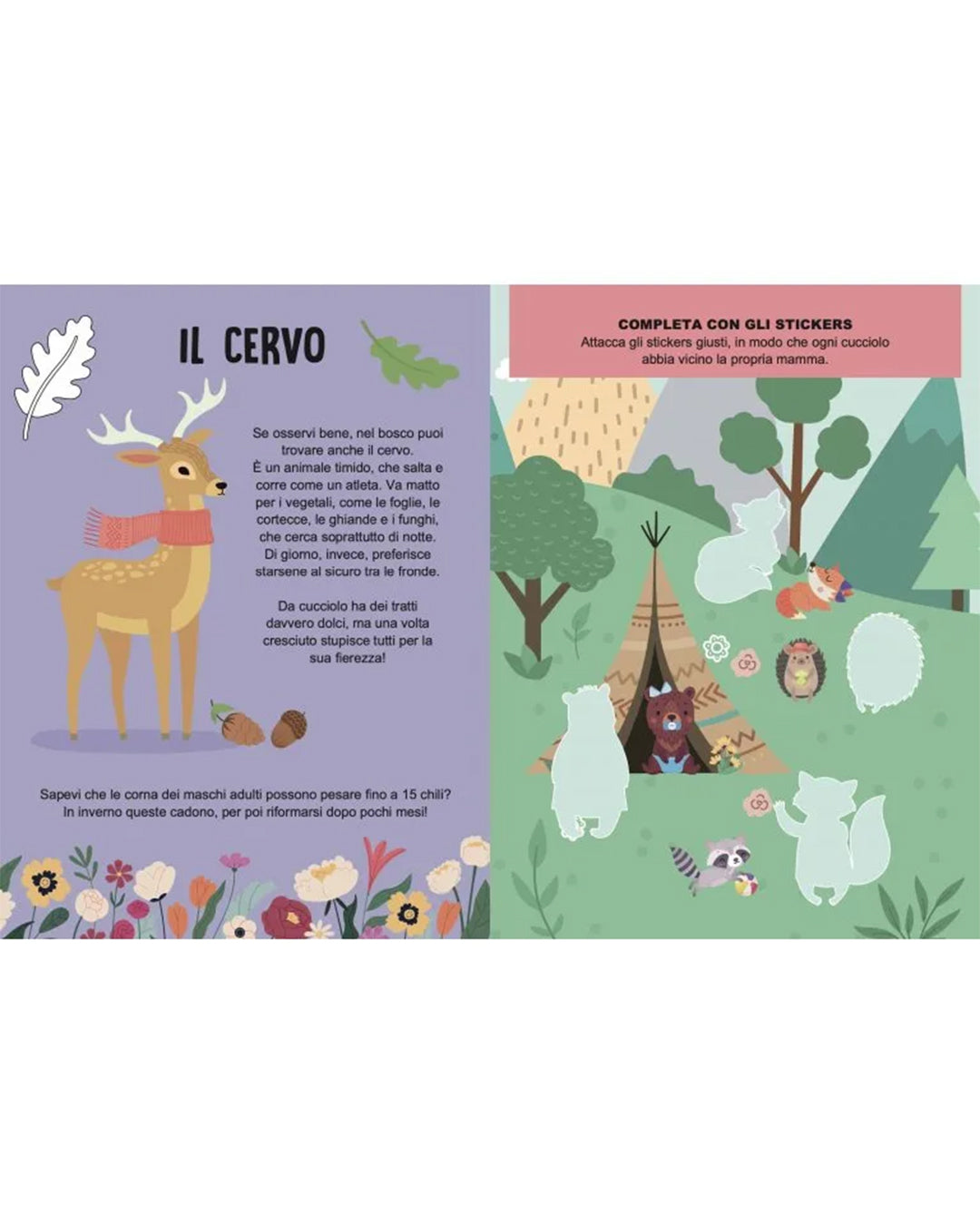 Sassi Yunior Editore - La foresta magica - Mega box arts & crafts