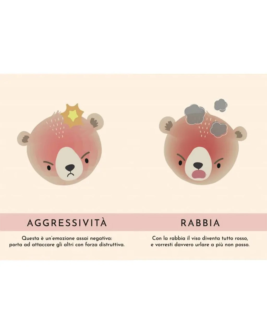 Sassi Yunior Editore - Le mie prime carte. Le emozioni - Libro e cards