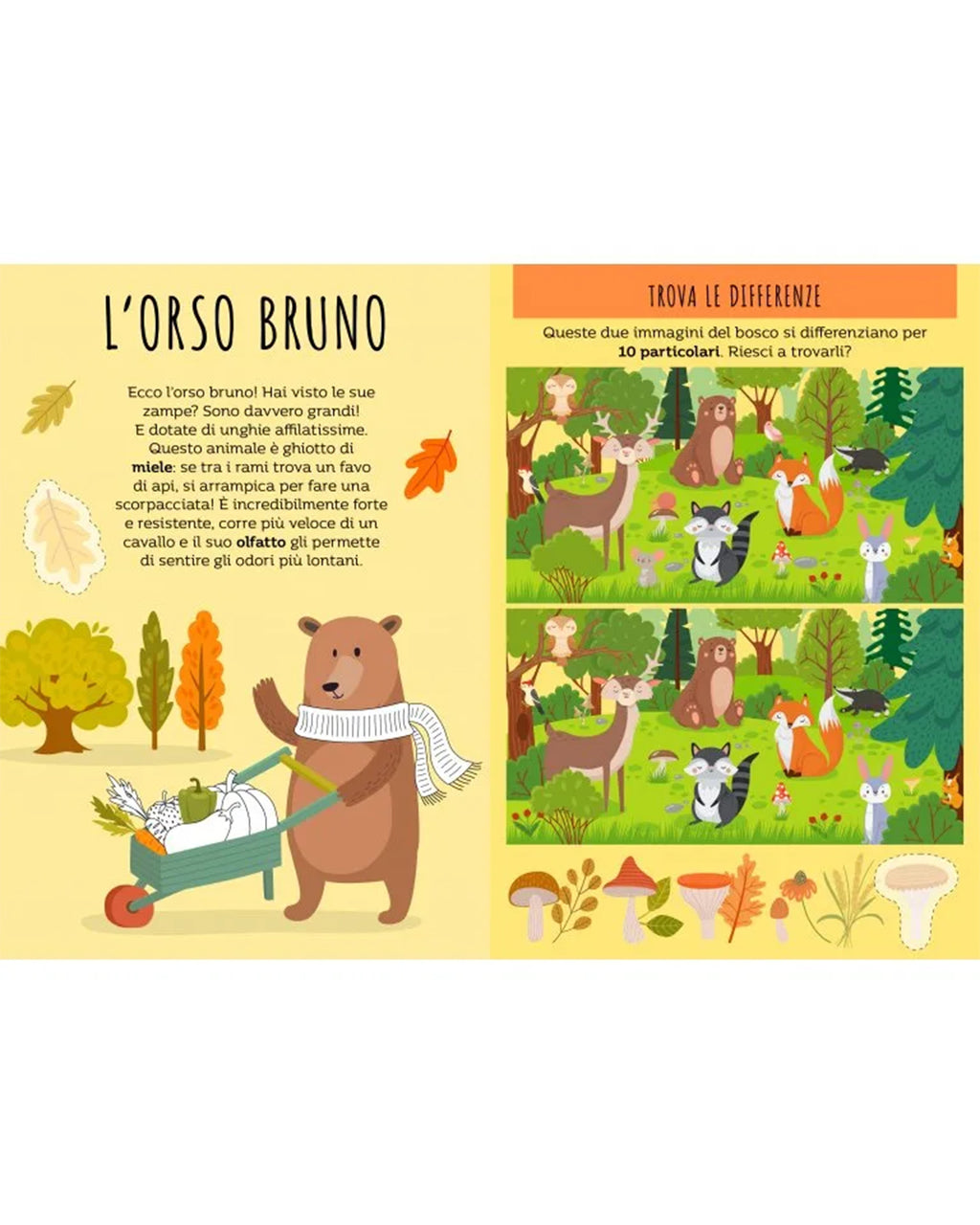 Sassi Yunior Editore - Le sette famiglie. Il bosco - Gioco società e libro attività