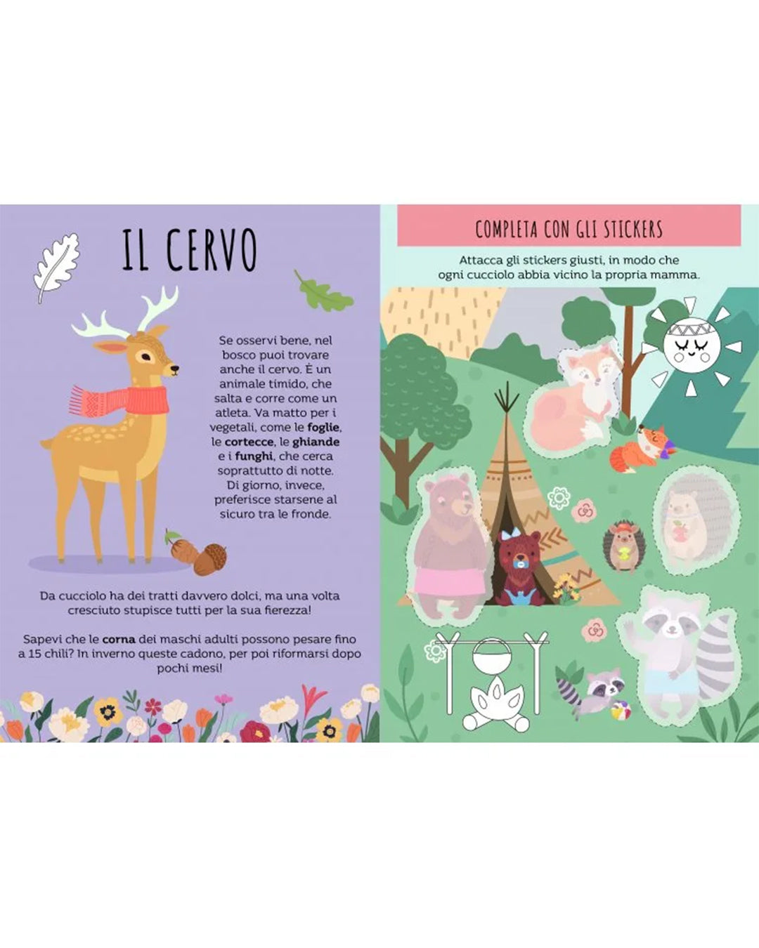 Sassi Yunior Editore - Le sette famiglie. Il bosco - Gioco società e libro attività