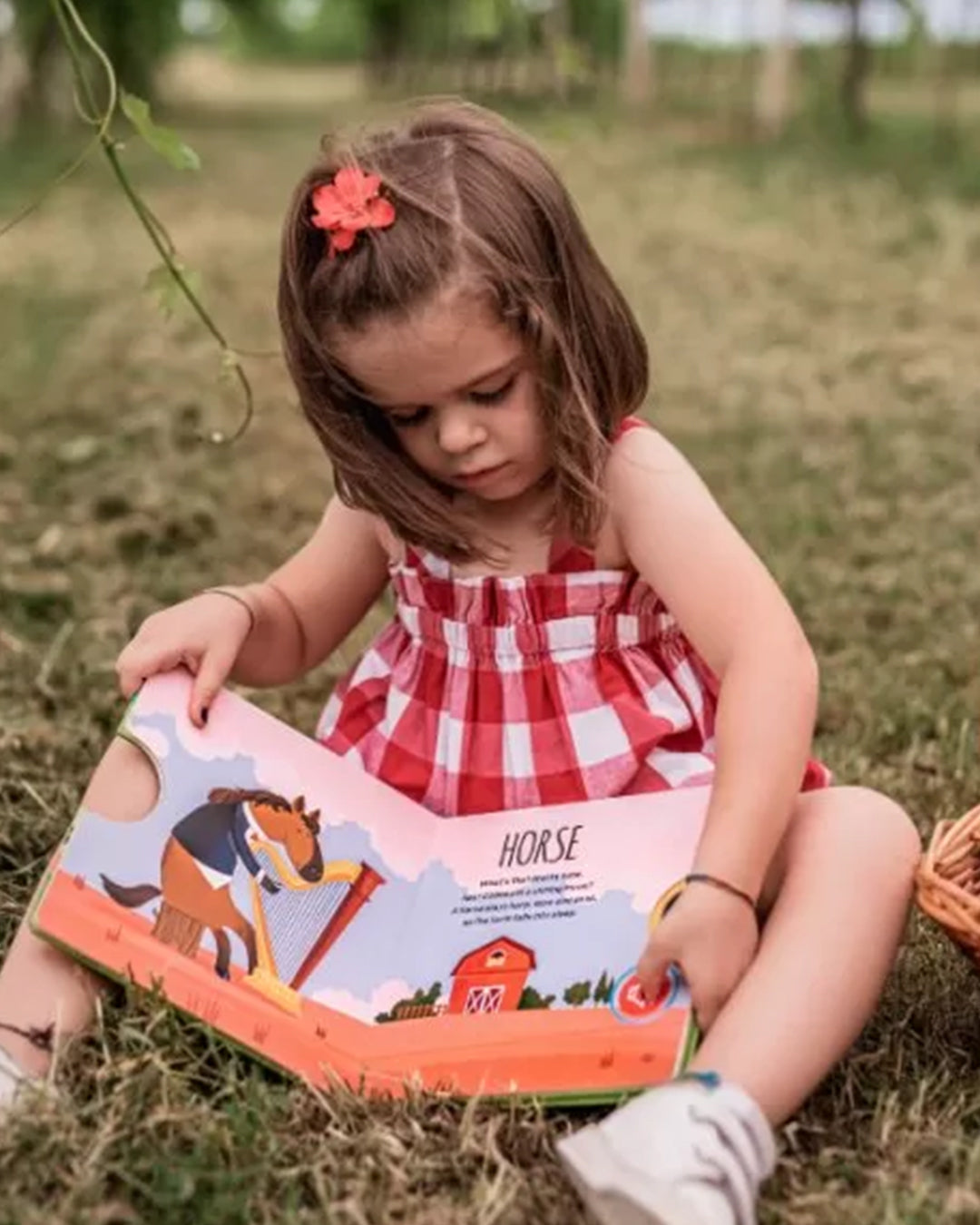 Sassi Editore - Libri sonori - La fattoria