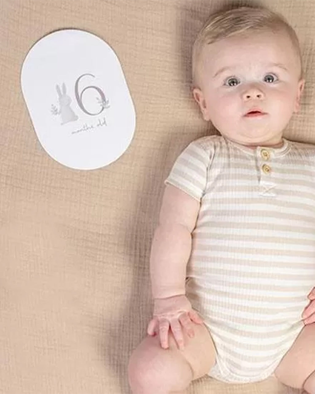 Little Dutch - Carte Ricordi Coniglietto