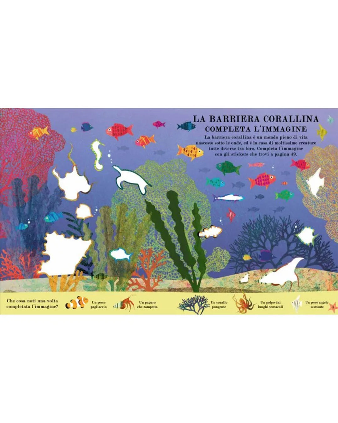 Sassi Yunior Editore - Mare - LIBRO delle attività