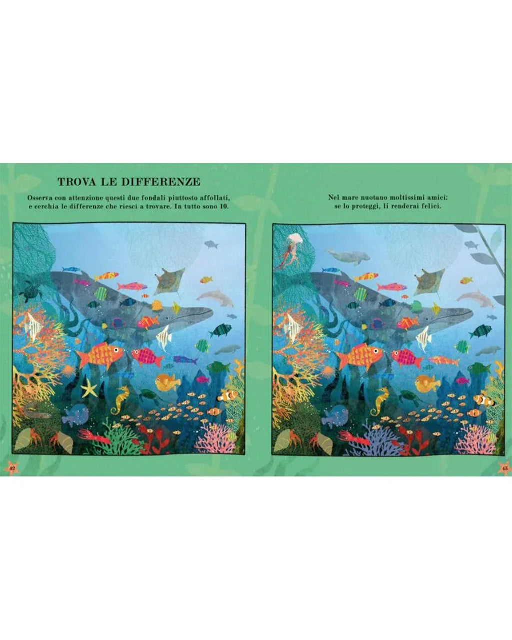 Sassi Yunior Editore - Mare - LIBRO delle attività