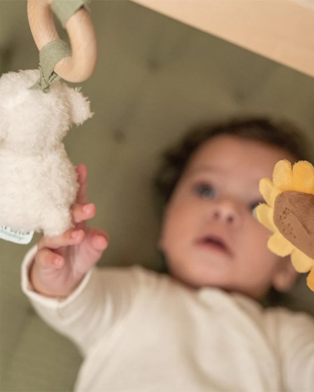 Little Dutch - Palestra per bambini Little Farm