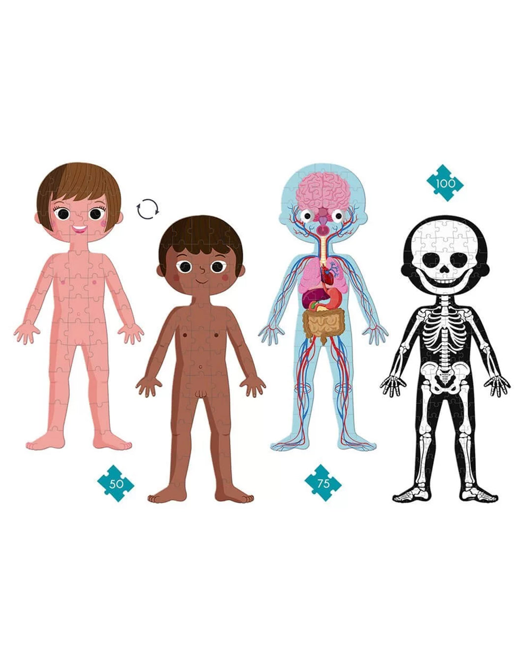 Janod - Puzzle Educativo Corpo Umano