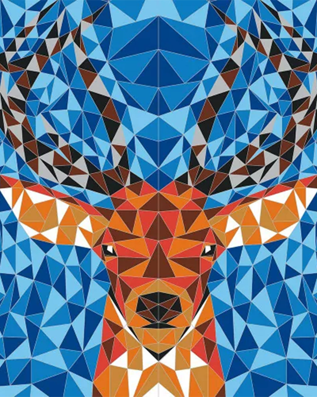 Janod - Scratch Art - Animatrici