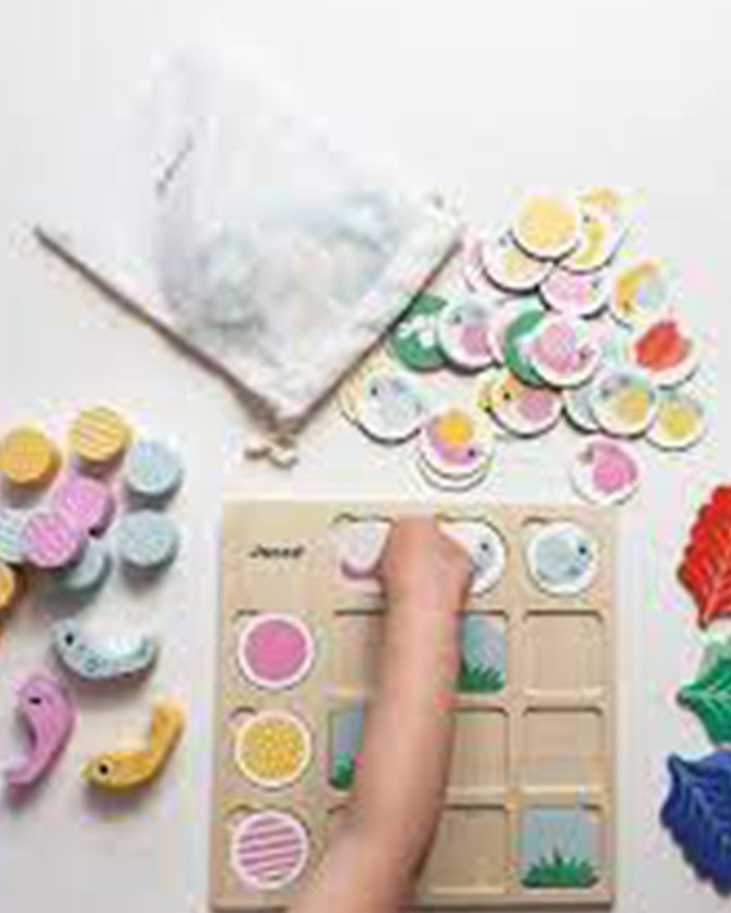 Janod - Tabella A Doppia Entrata – Lumache