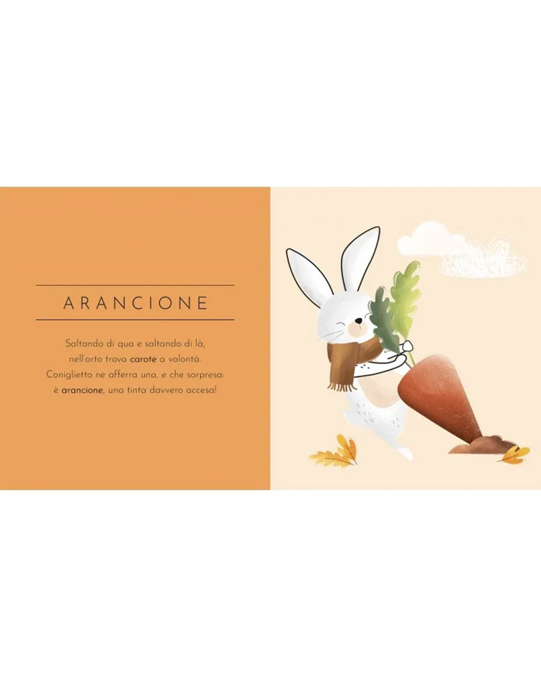 Sassi Yunior Editore - Tocca anche tu! I colori - LIBRO