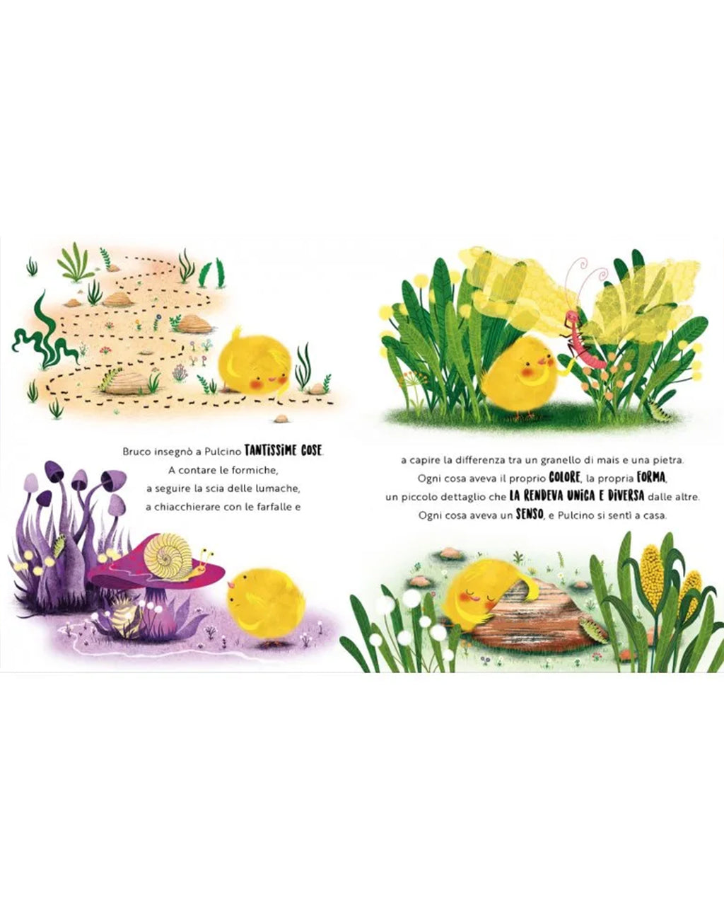 Sassi Yunior Editore - Una felicità da pulcino - LIBRO