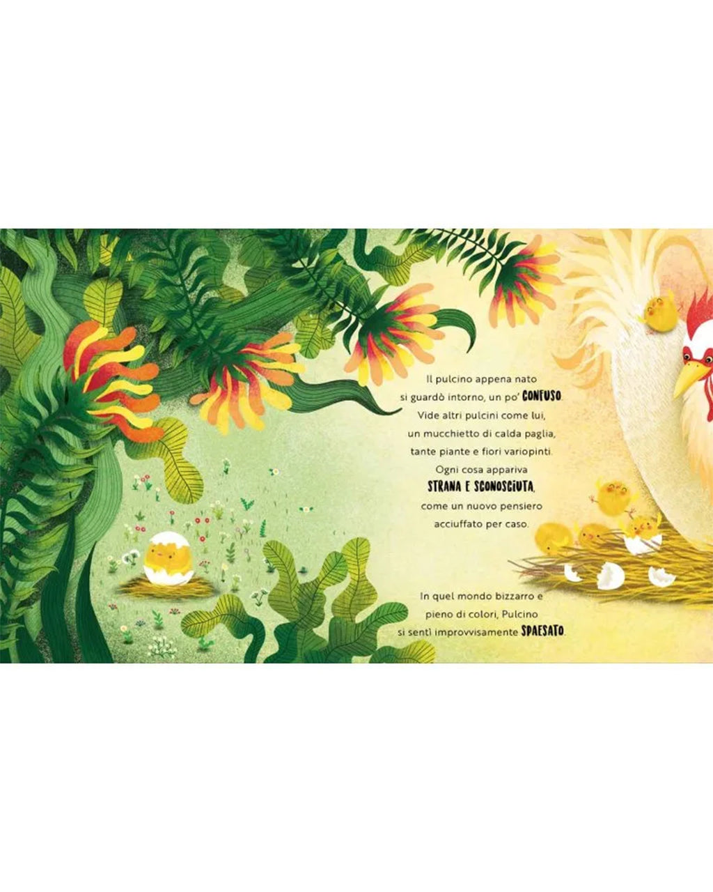 Sassi Yunior Editore - Una felicità da pulcino - LIBRO