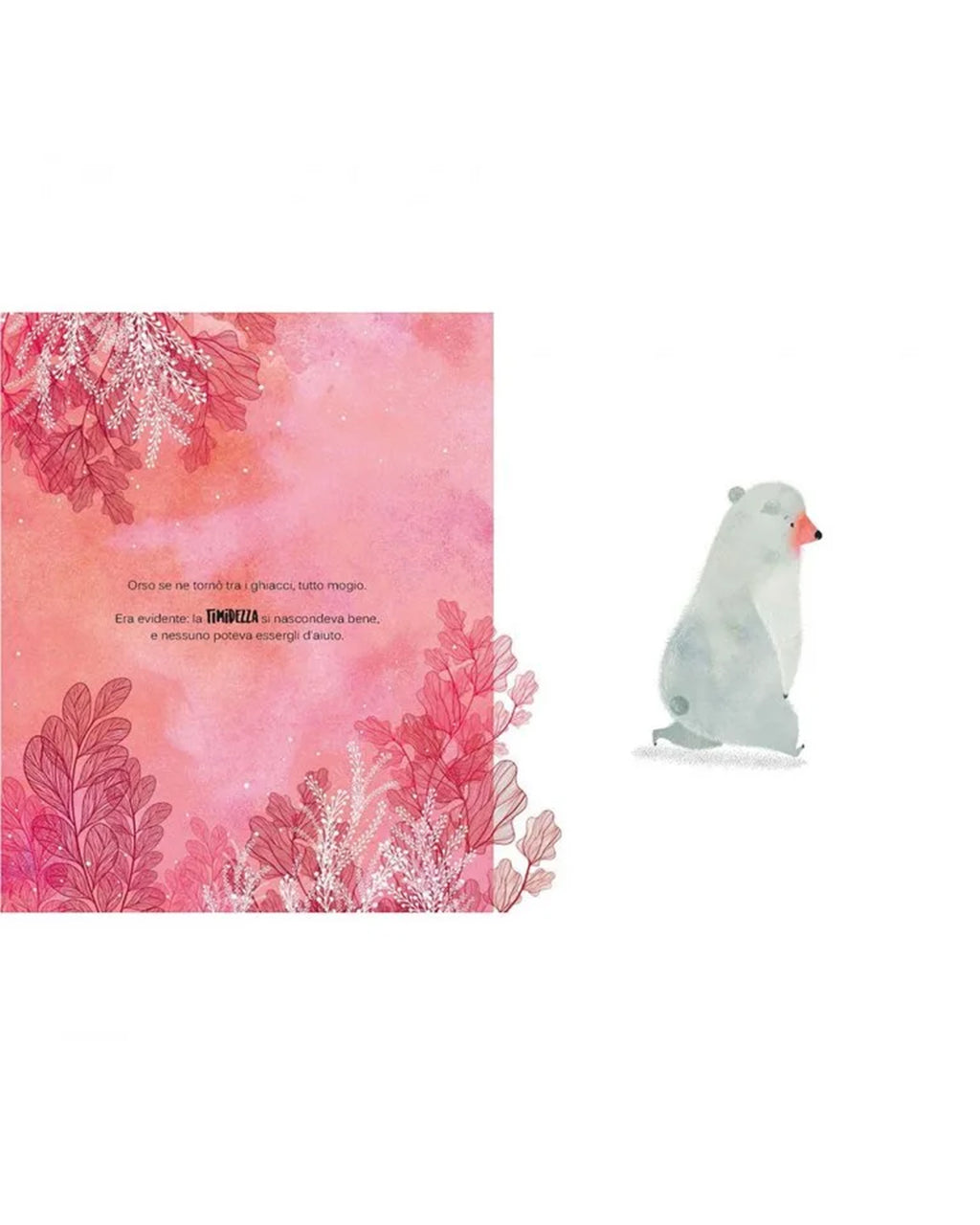 Sassi Yunior Editore - Una timidezza da orso - LIBRO