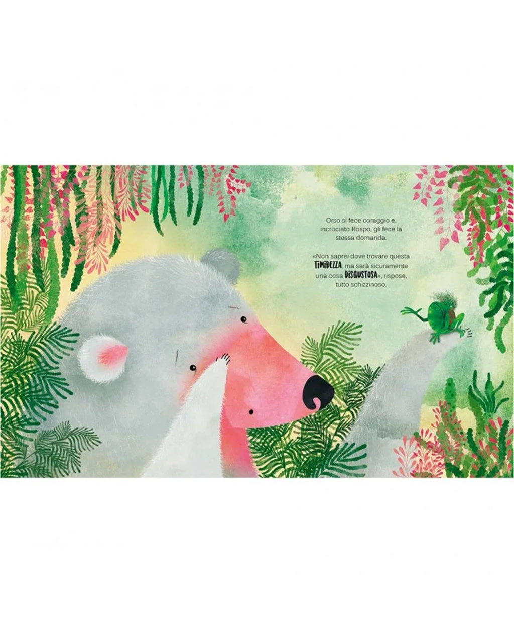 Sassi Yunior Editore - Una timidezza da orso - LIBRO