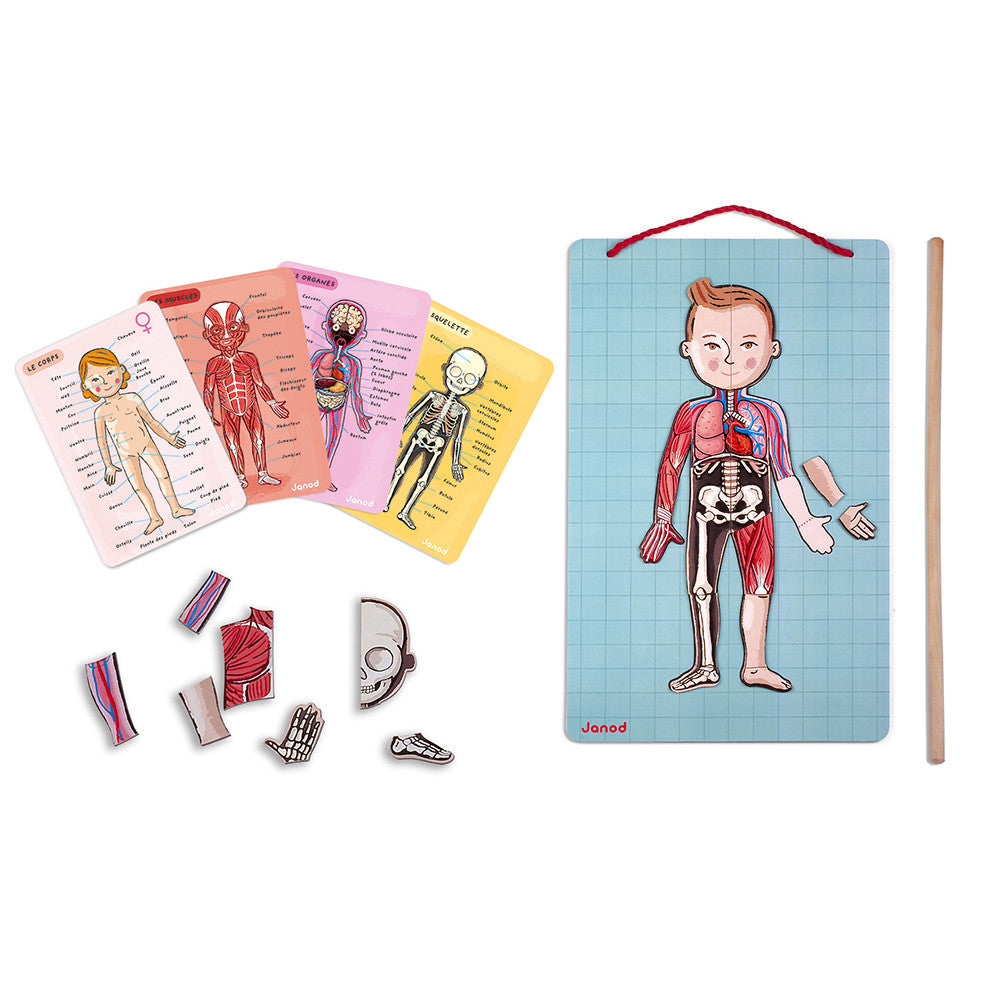 Janod - Puzzle Educativo anatomico del corpo umano - 12 lingue
