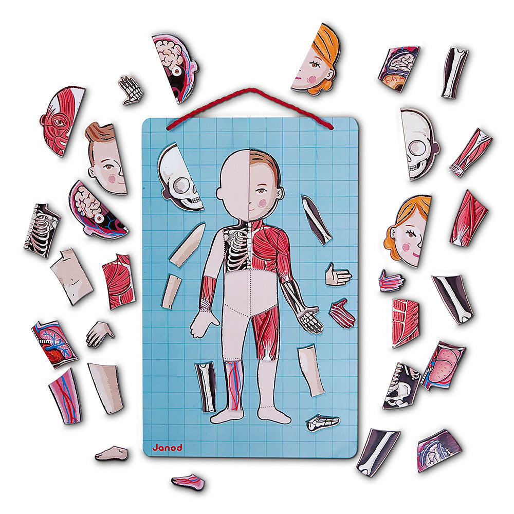 Janod - Puzzle Educativo anatomico del corpo umano - 12 lingue