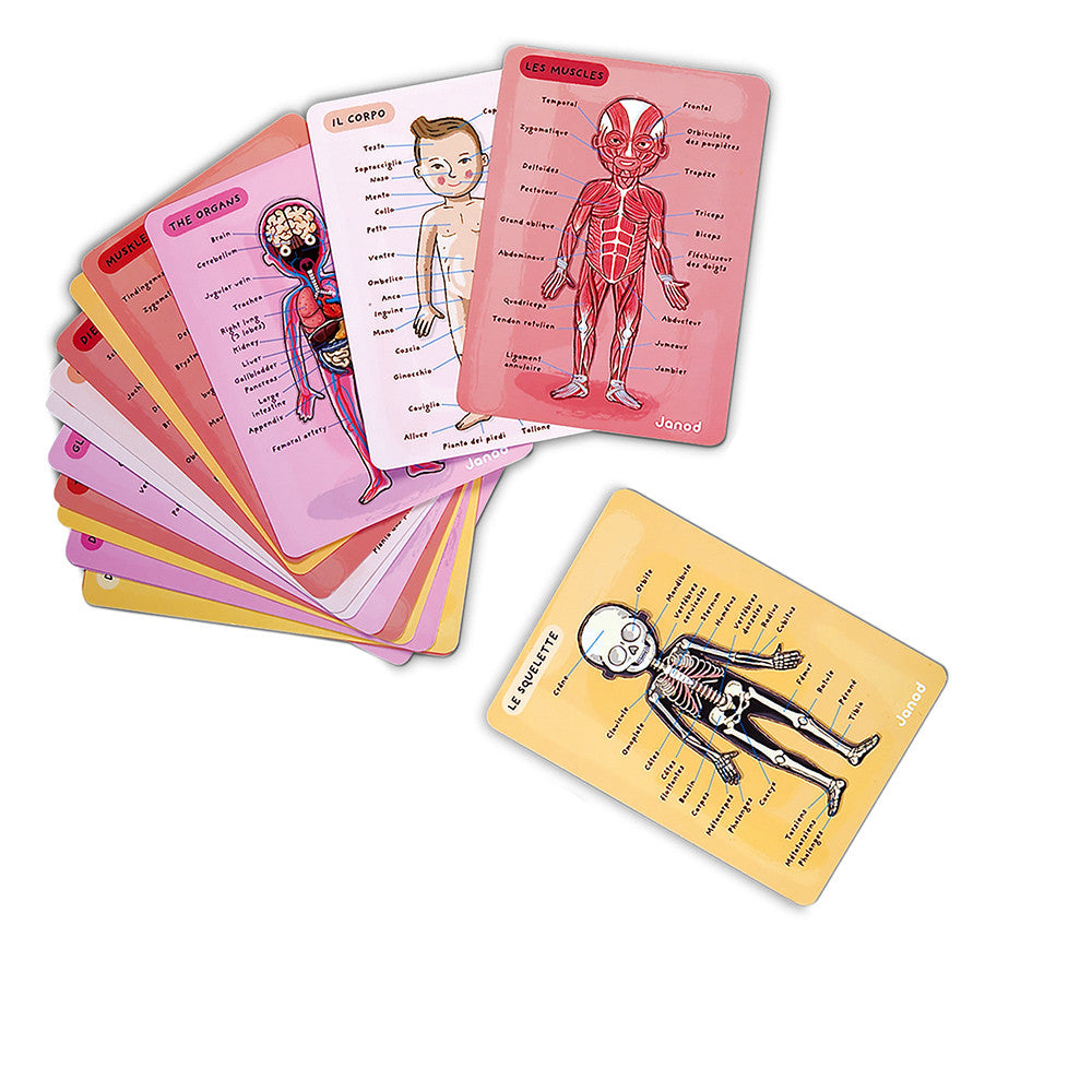 Janod - Puzzle Educativo anatomico del corpo umano - 12 lingue