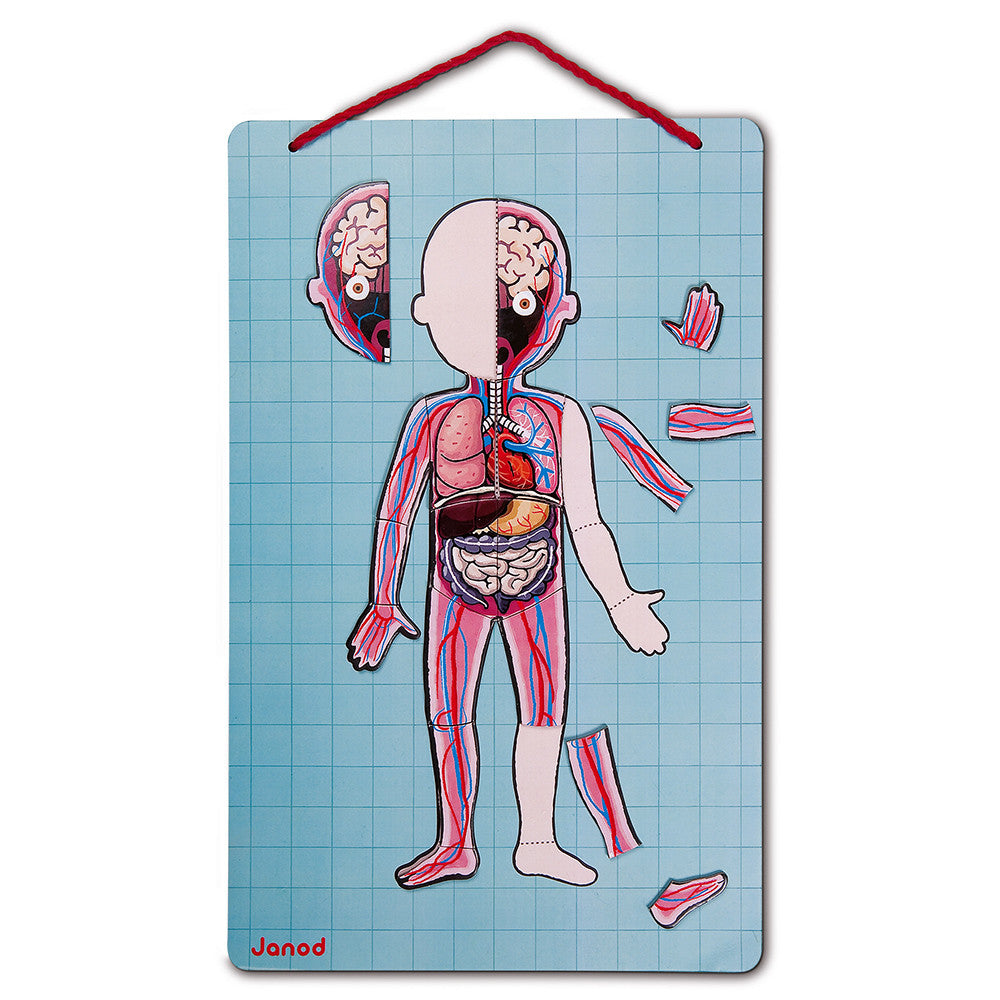 Janod - Puzzle Educativo anatomico del corpo umano - 12 lingue