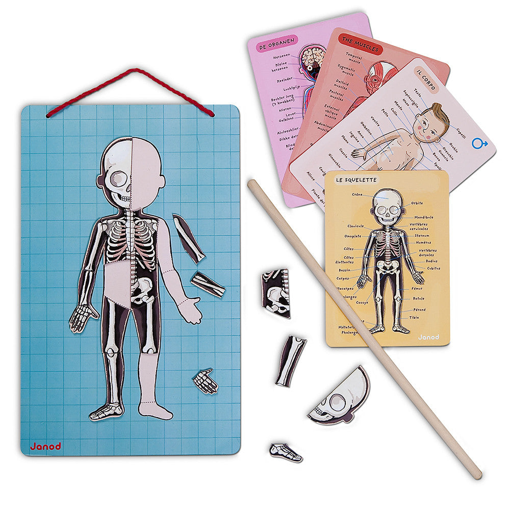 Janod - Puzzle Educativo anatomico del corpo umano - 12 lingue