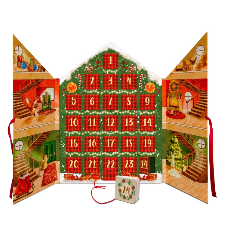Sassi Yunior Editore -Calendario dell'Avvento. Aspettando il Natale