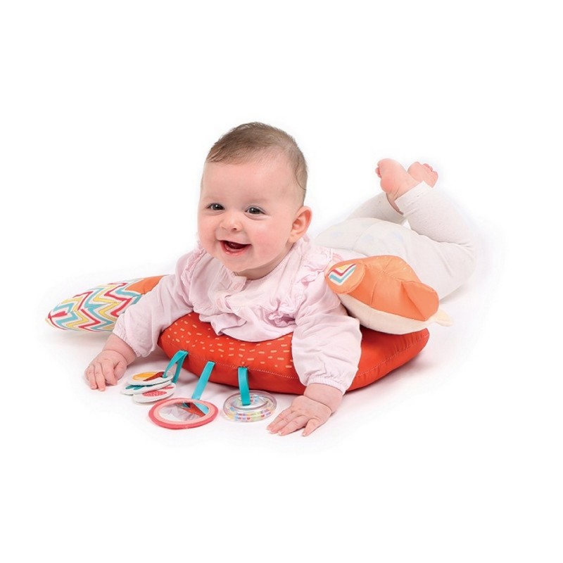 Ludi-CUSCINO Attività VOLPE