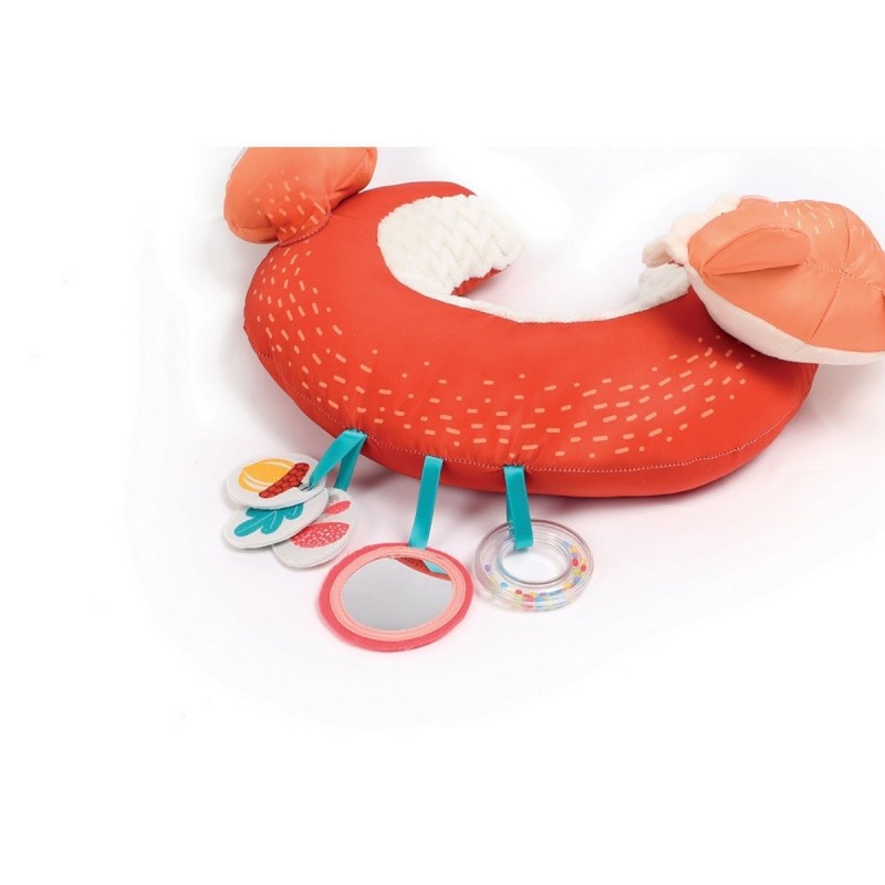 Ludi-CUSCINO Attività VOLPE