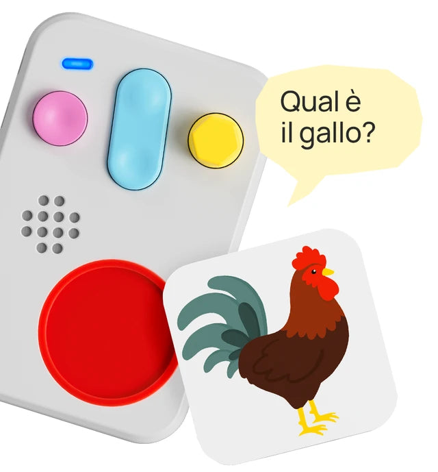 Faba - Gioco - Prime scoperte: gli animali