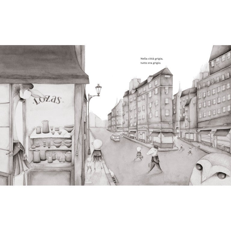 Sassi Editore - Grigio